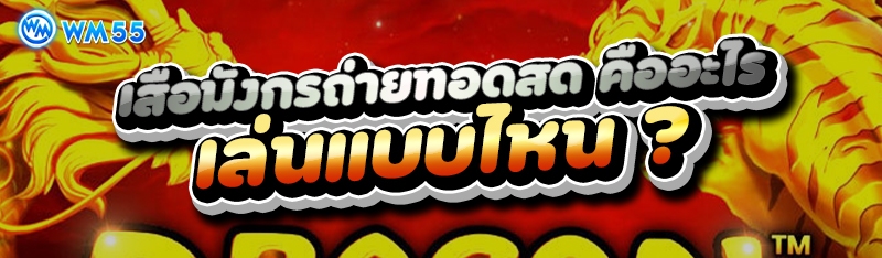 เสือมังกรถ่ายทอดสด