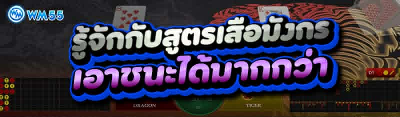 รู้จักกับสูตรเสือมังกร